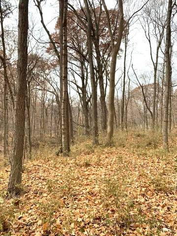 Morris, IL 60450,0 Winterbottom RD