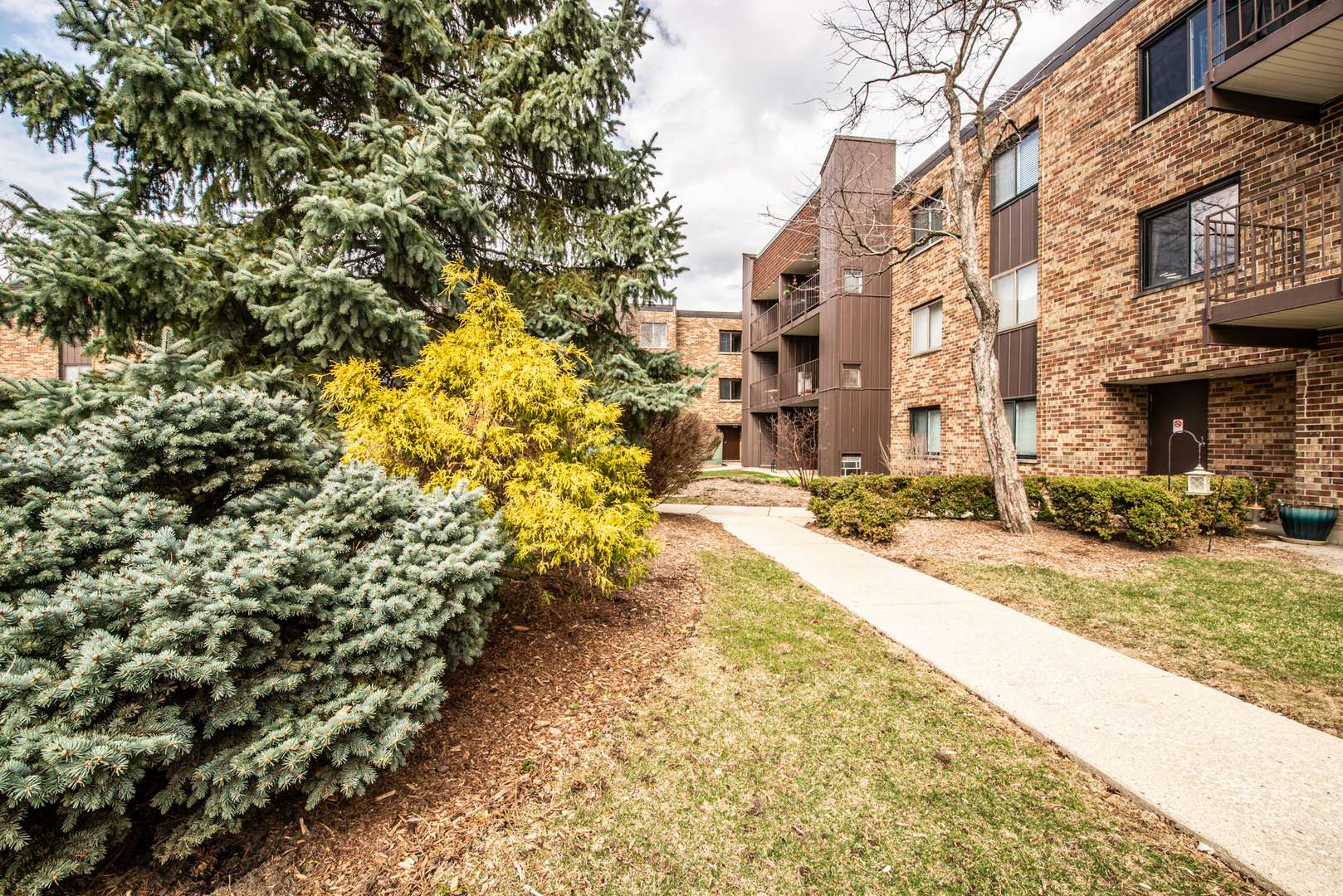 Schaumburg, IL 60173,522 E Algonquin RD #207