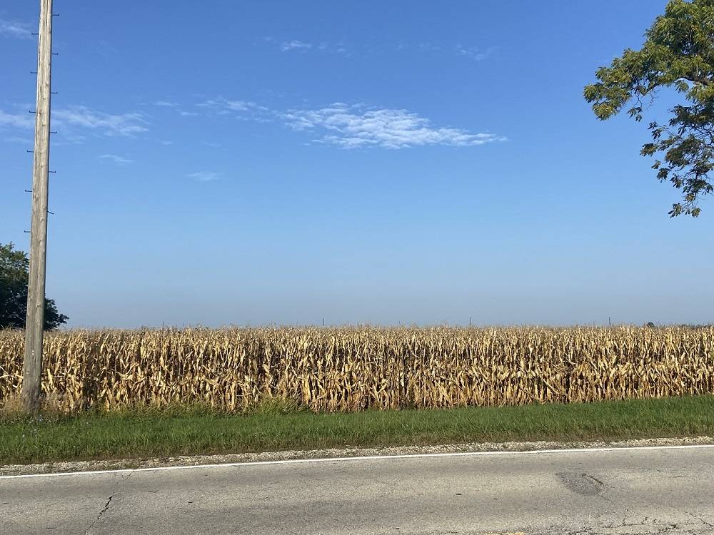 Peotone, IL 60468,28200 S Lagrange HWY
