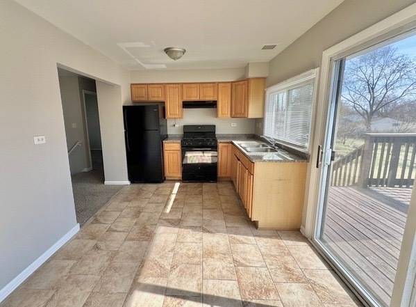 University Park, IL 60484,1039 Abbot LN