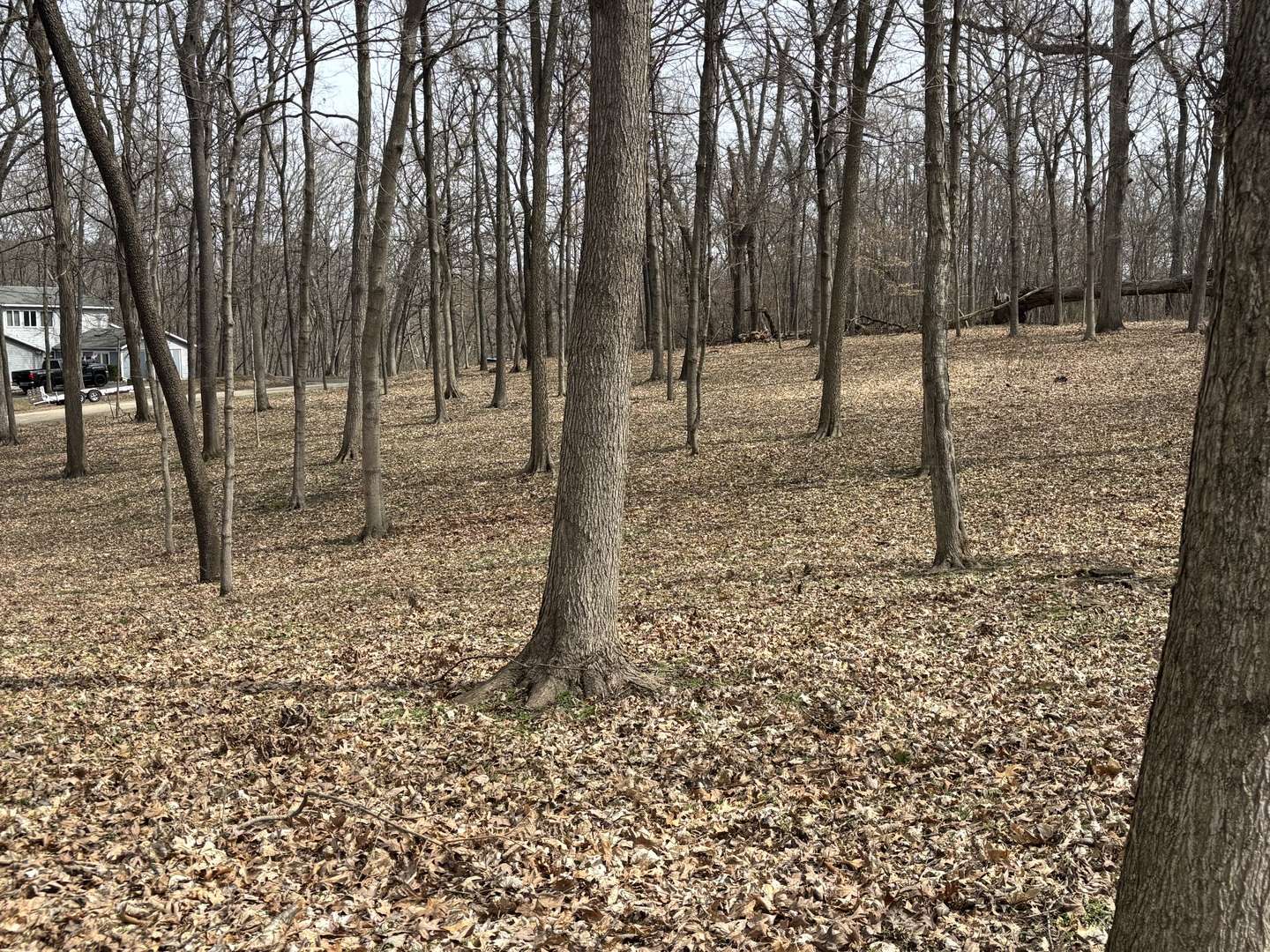 Varna, IL 61375,1729/1730/1731 Tanglewood DR