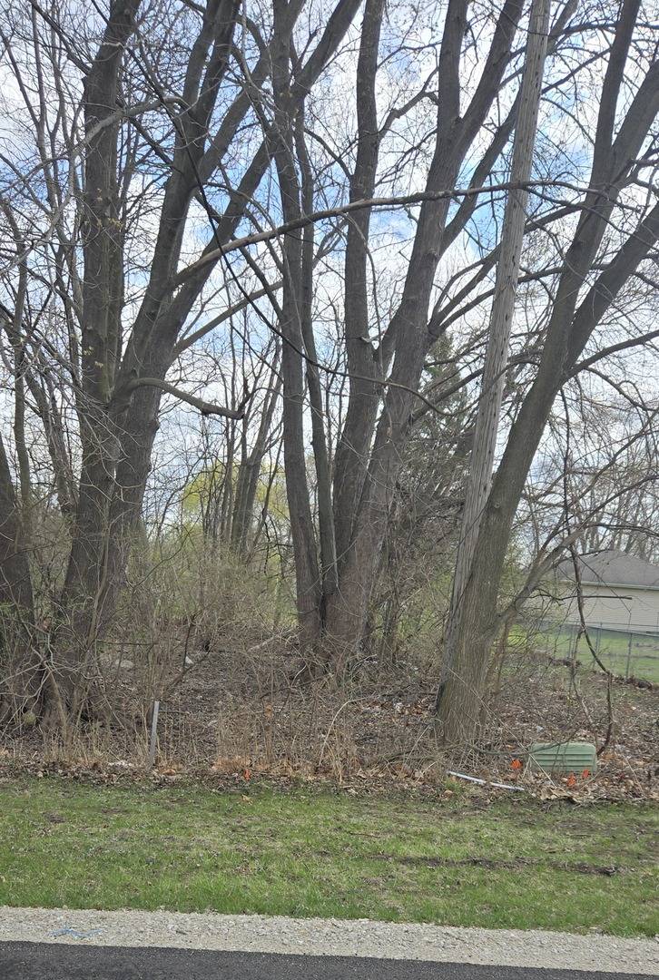 Braceville, IL 60407,0000 N Mitchell ST