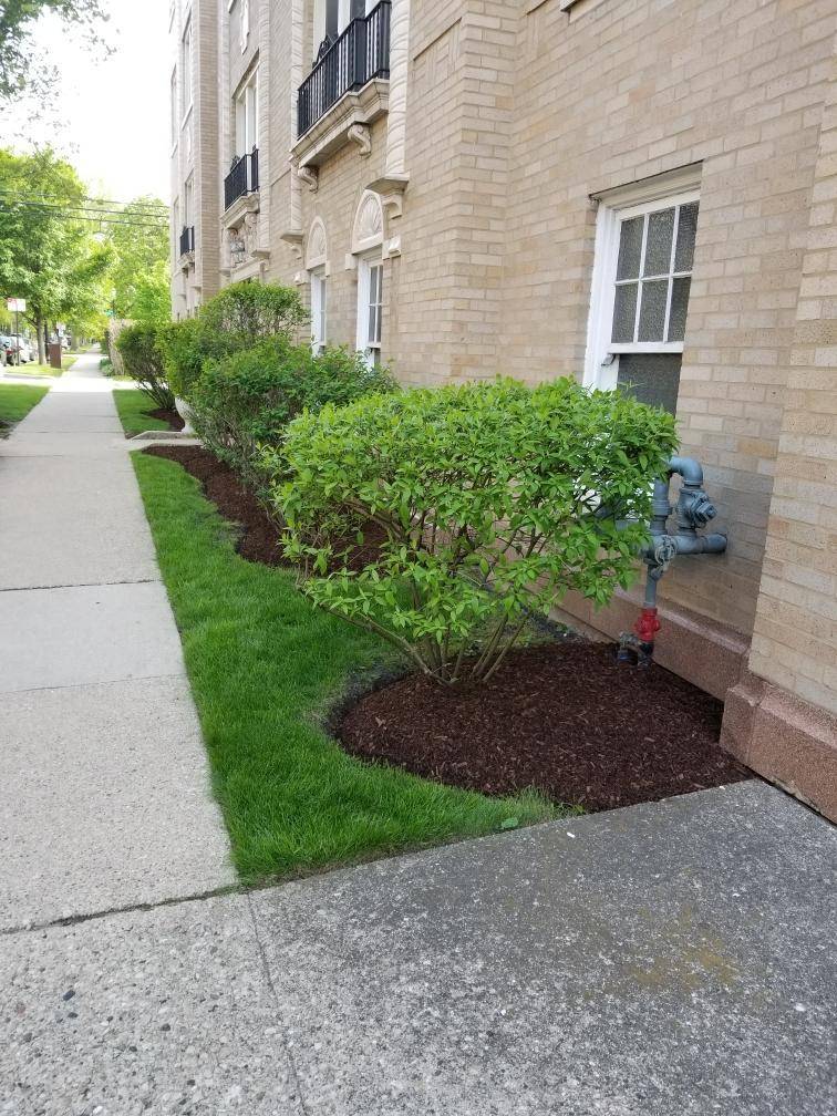 Evanston, IL 60202,804 Elmwood AVE #2N