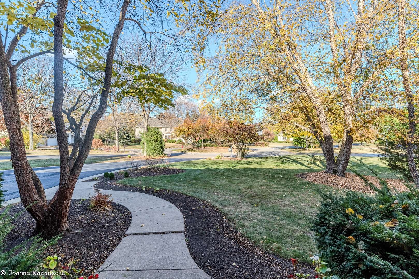 Libertyville, IL 60048,14191 W Oban CT