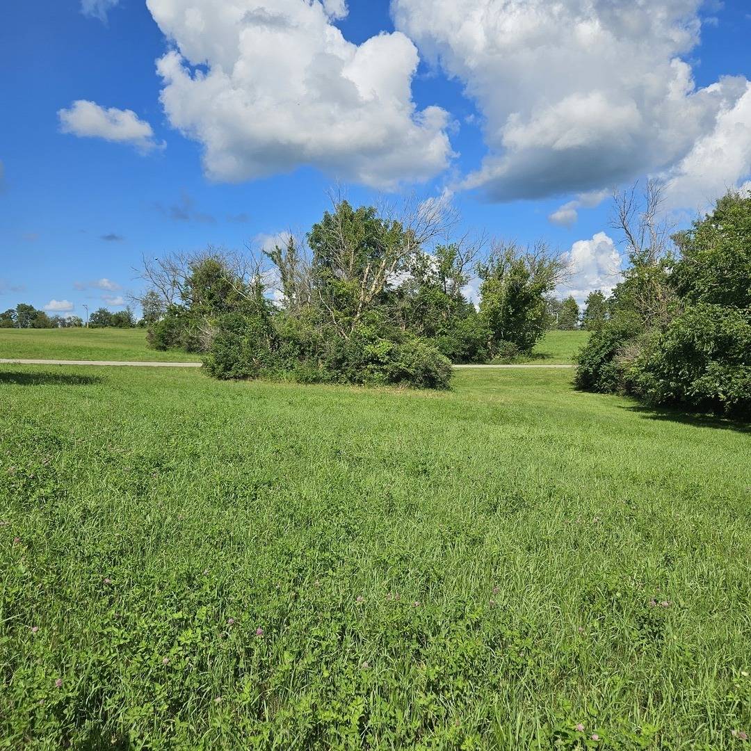 Lake Carroll, IL 61046,24-133 Hidden Ranch CT