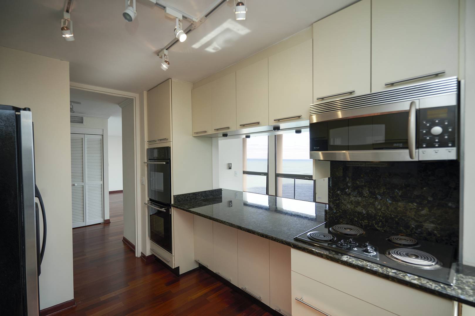 Chicago, IL 60610,1240 N Lake Shore DR #25A