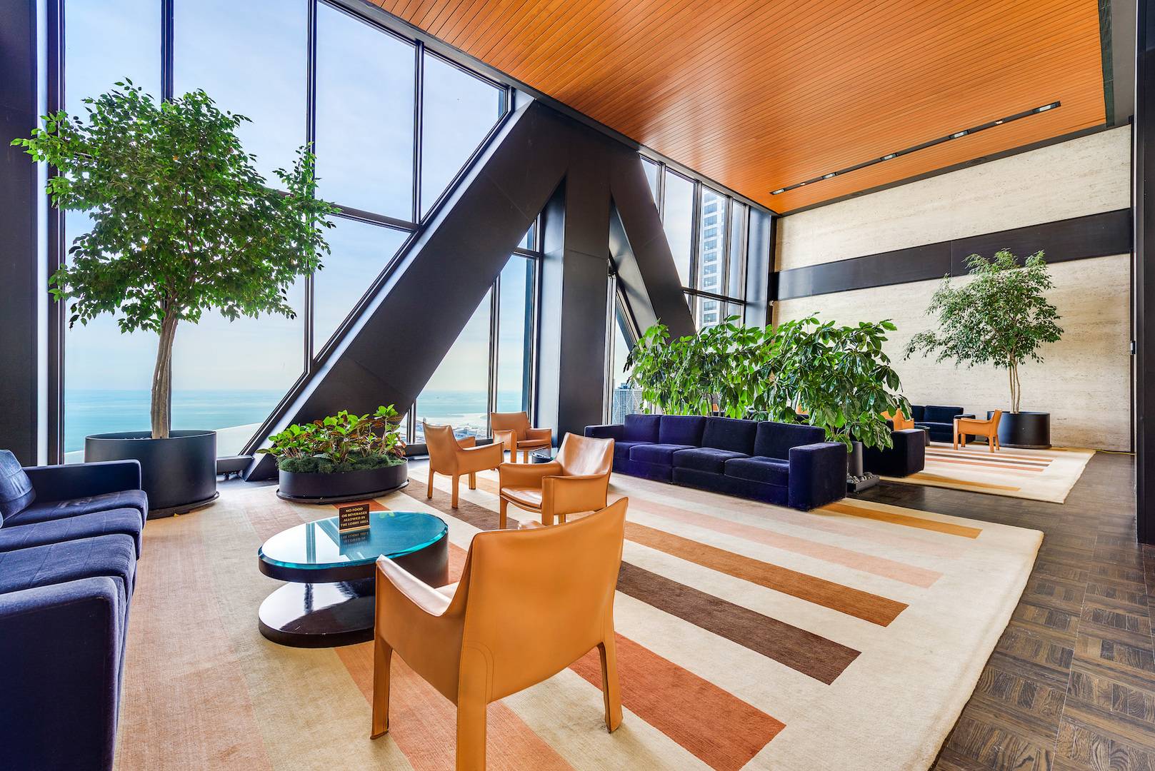 Chicago, IL 60611,175 E Delaware PL #4625