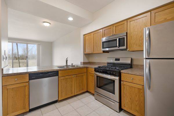 Lake In The Hills, IL 60156,135 Polaris DR #36-135