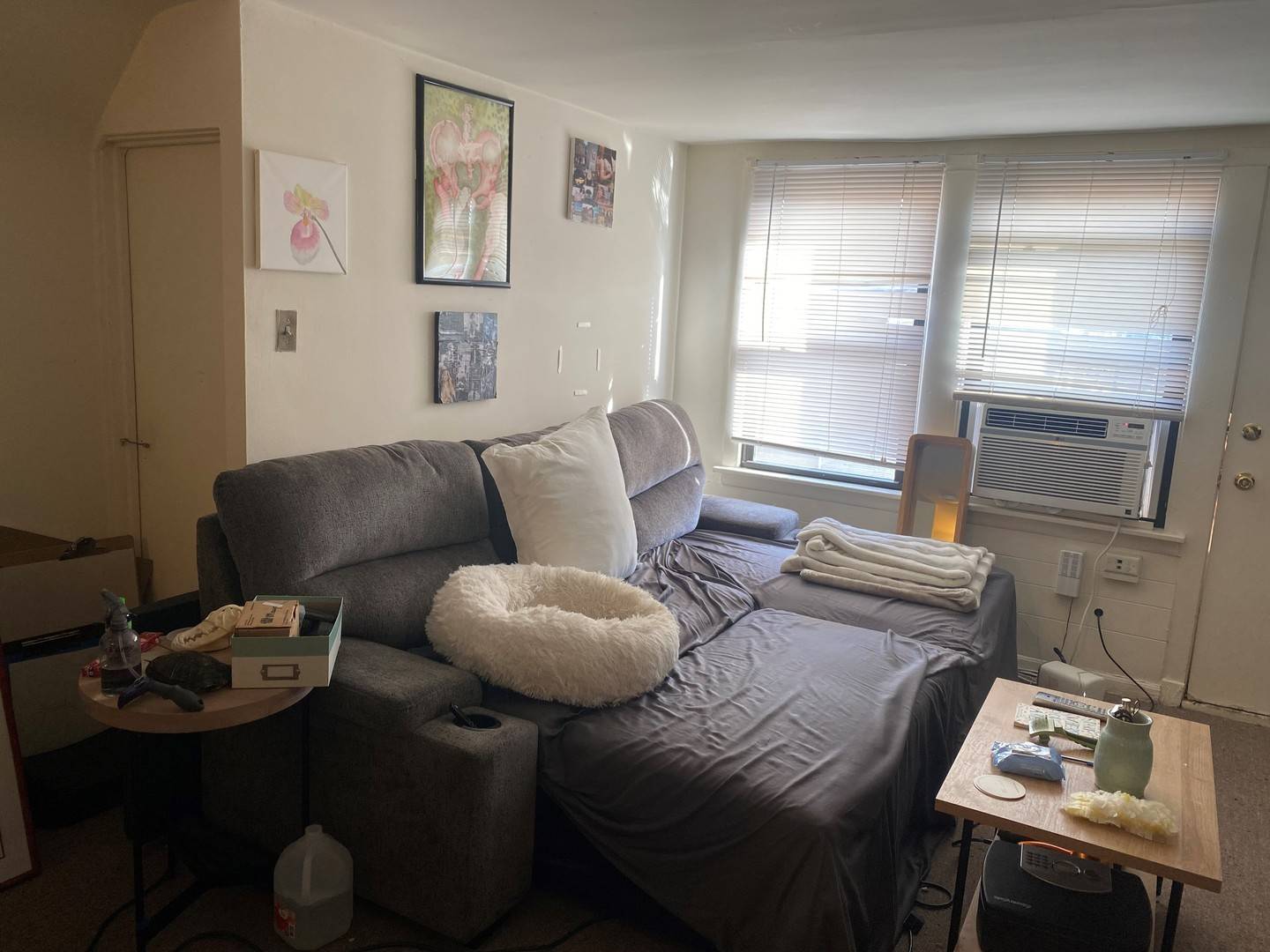 Oak Park, IL 60302,414 S Maple AVE #3F
