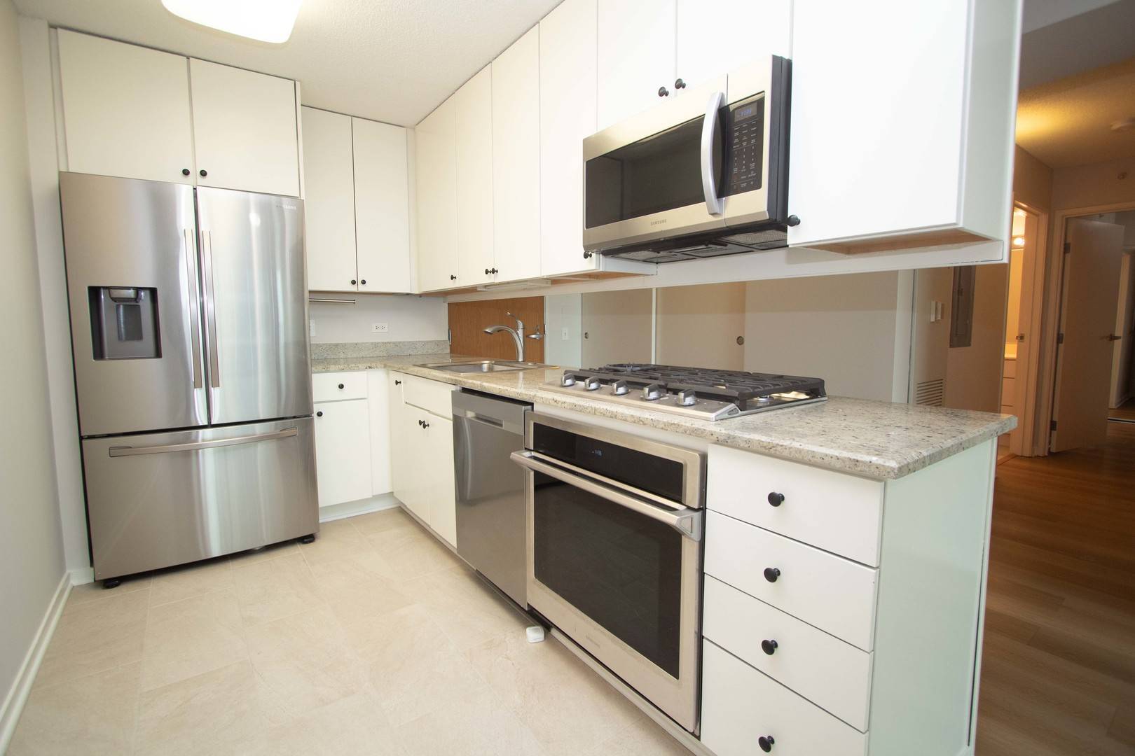 Skokie, IL 60076,9655 WOODS DR #1605