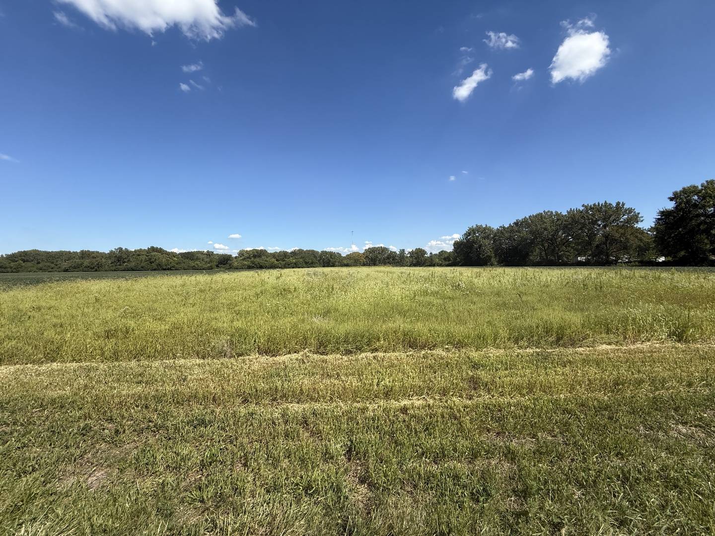 Morris, IL 60450,2998 N Dwight RD