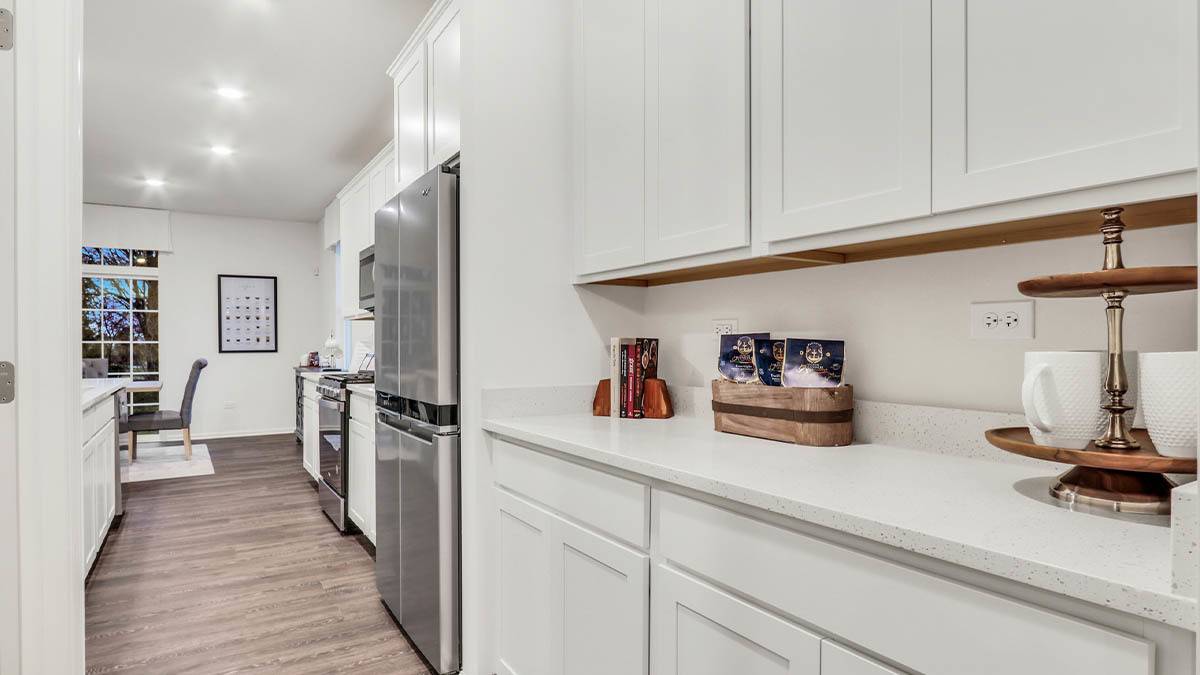 Elgin, IL 60124,294 Astor CT