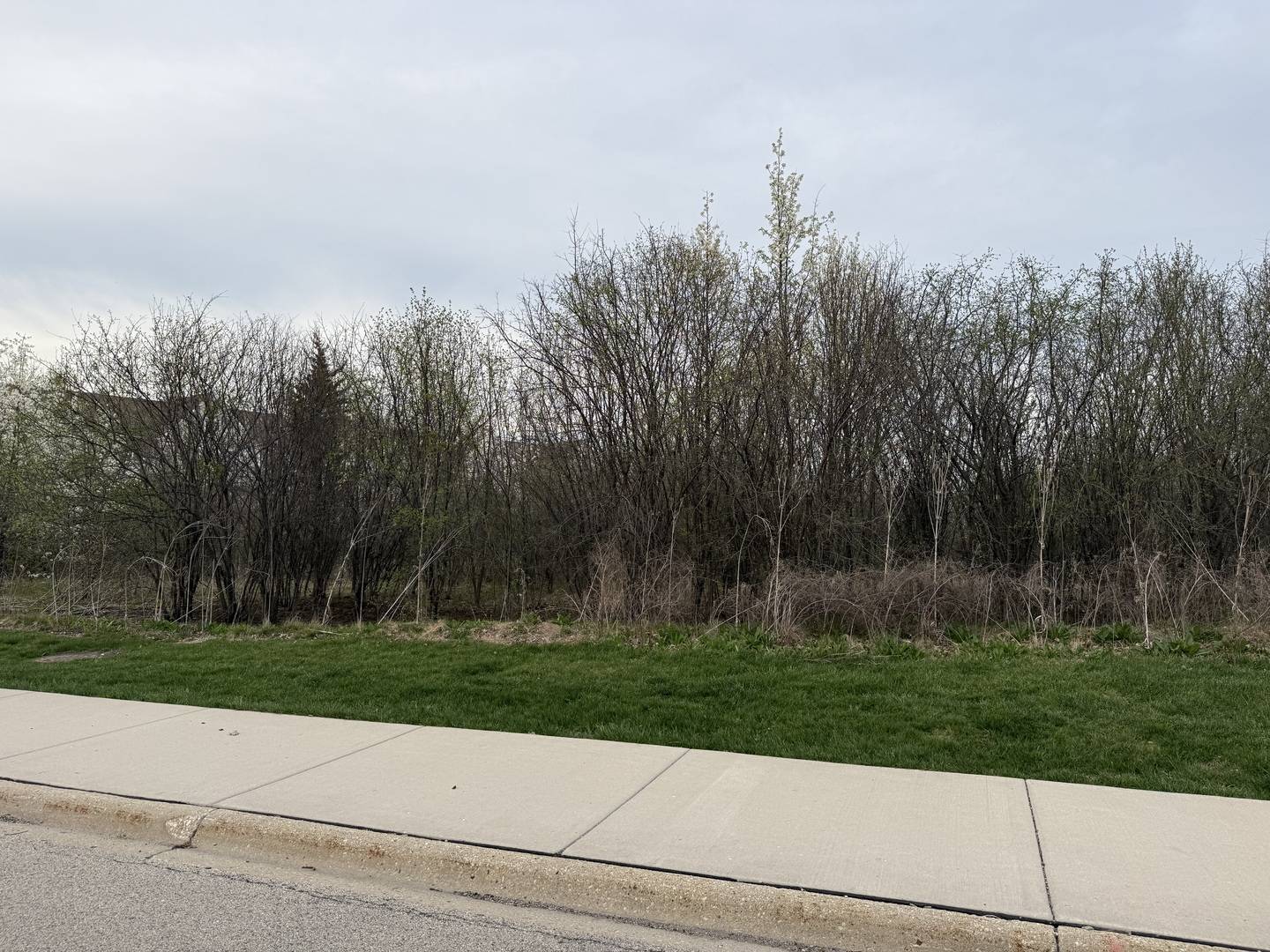Lincolnshire, IL 60069,20 Westminster WAY