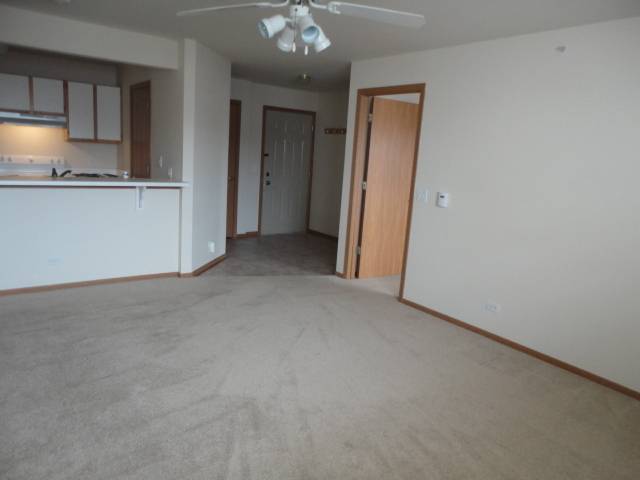Round Lake, IL 60073,1524 W Sand Bar CT #2A