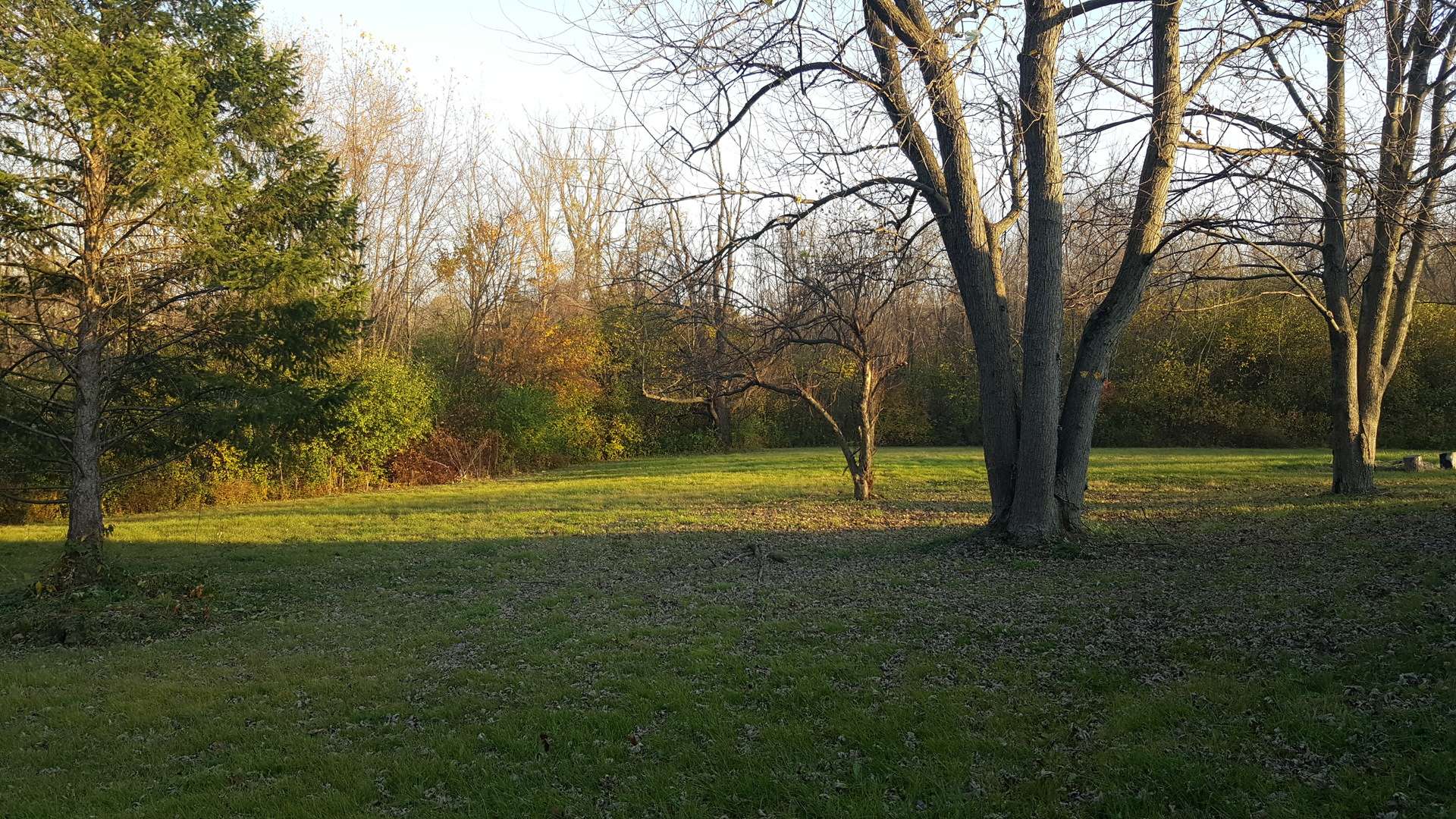 Palos Park, IL 60464,8401 W 129th ST