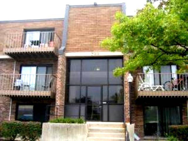 Schaumburg, IL 60193,733 LIMERICK LN #3D