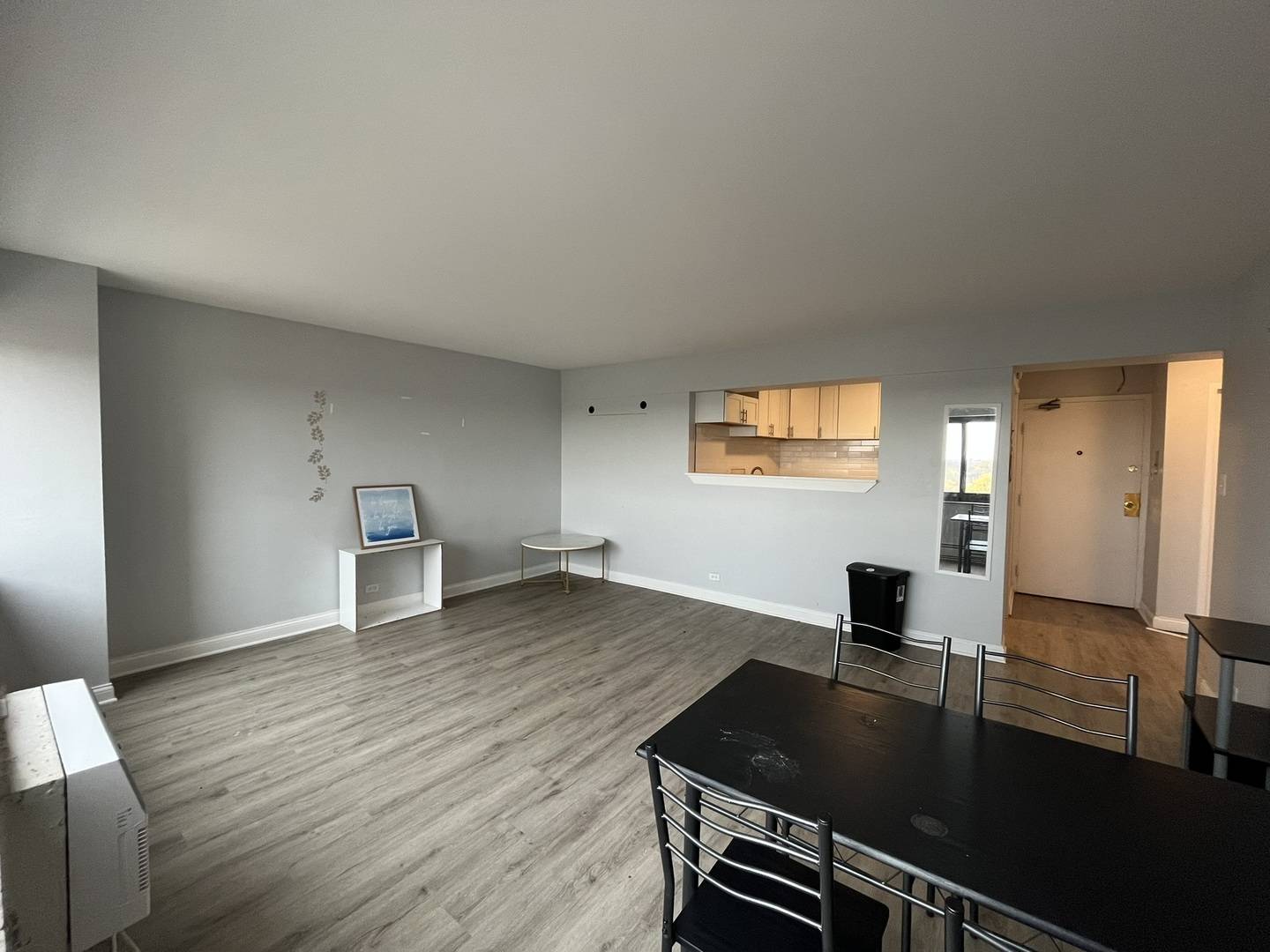 Chicago, IL 60649,7337 S South Shore DR #1024
