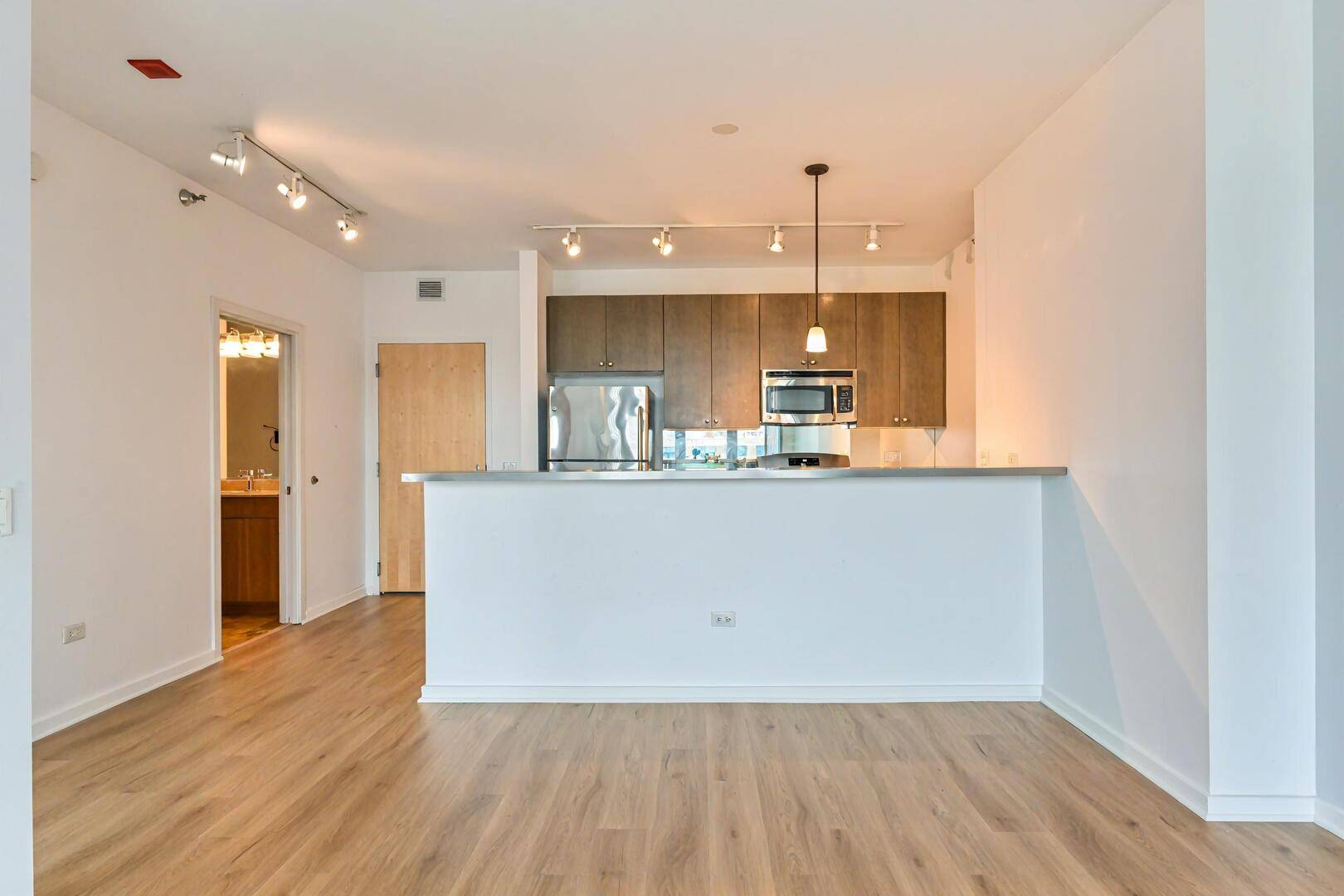 Chicago, IL 60607,125 S Green ST #1007A