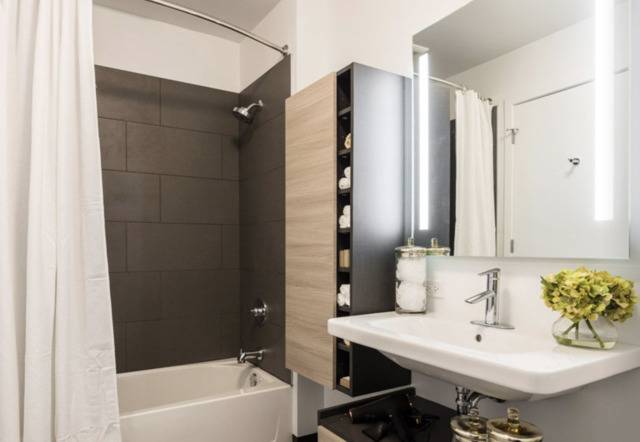 Chicago, IL 60654,710 W Grand AVE #609