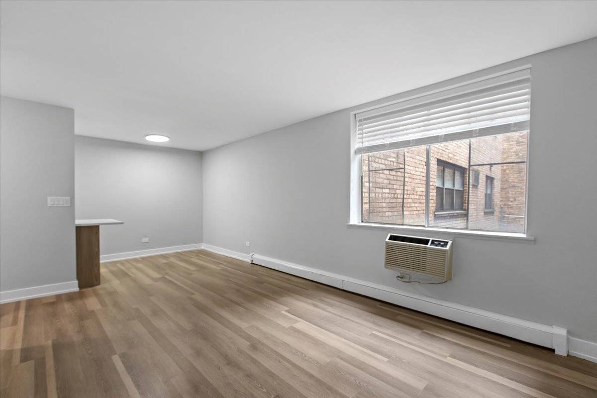 Chicago, IL 60657,541 W OAKDALE AVE #221
