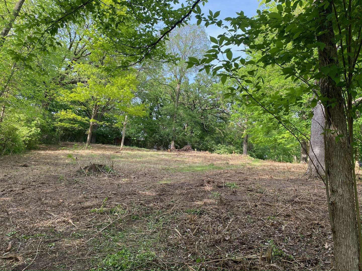 Algonquin, IL 60102,705 Harper DR
