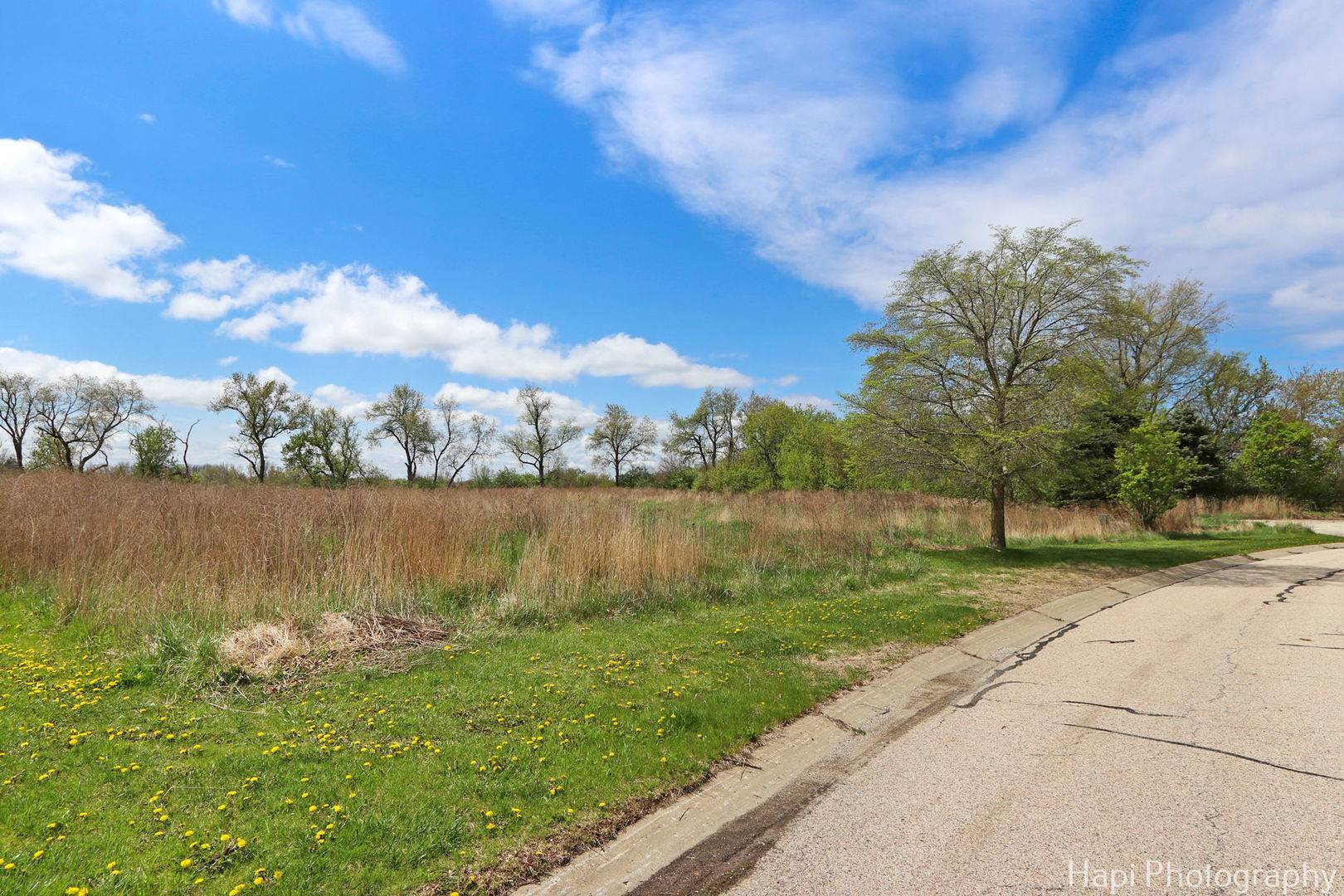 Spring Grove, IL 60081,2647 Sanctuary LN
