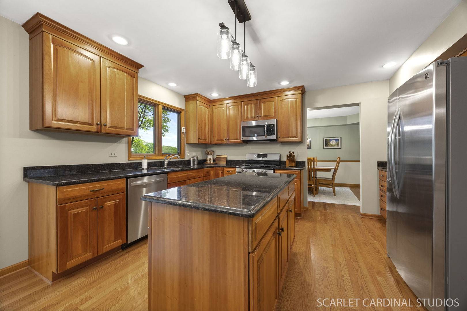 Naperville, IL 60564,1223 Leverenz RD