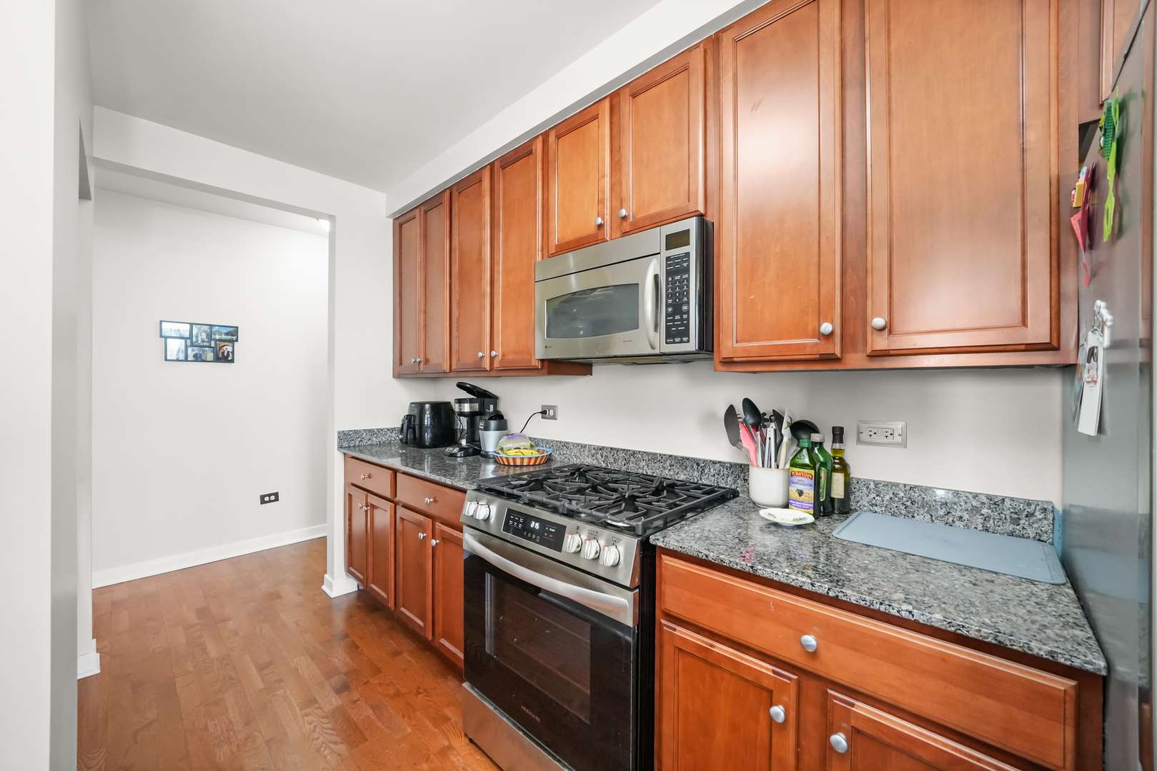 Chicago, IL 60605,1160 S Michigan AVE #1005