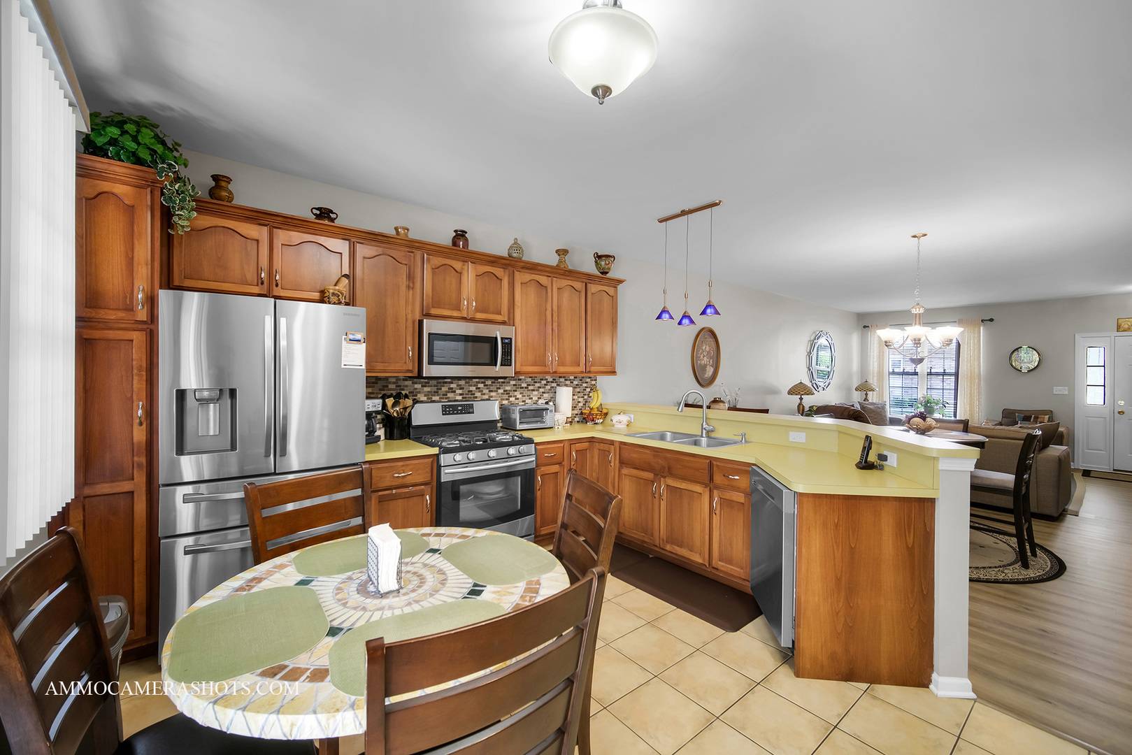 Aurora, IL 60506,1677 BRIGHTWOOD PL #8B
