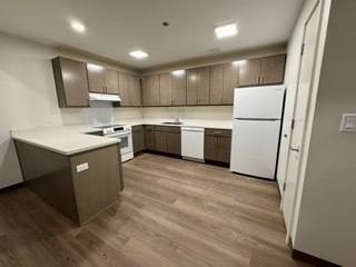 Chicago, IL 60612,3155 W 5th AVE #314