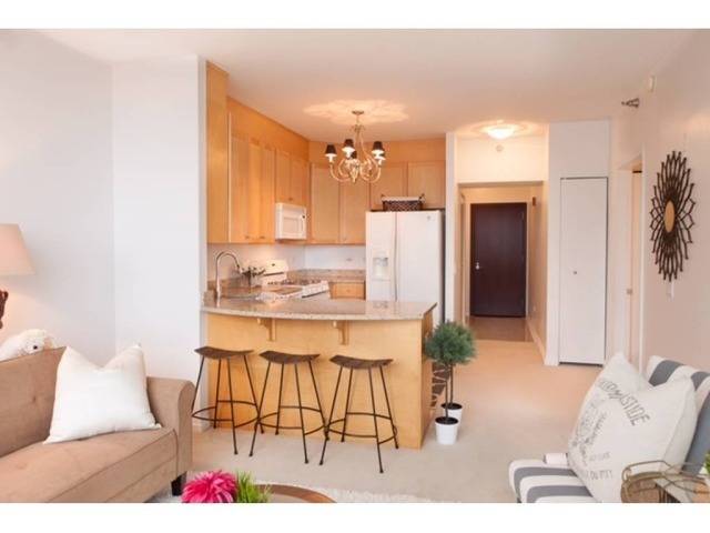 Chicago, IL 60654,33 W Ontario ST #36G