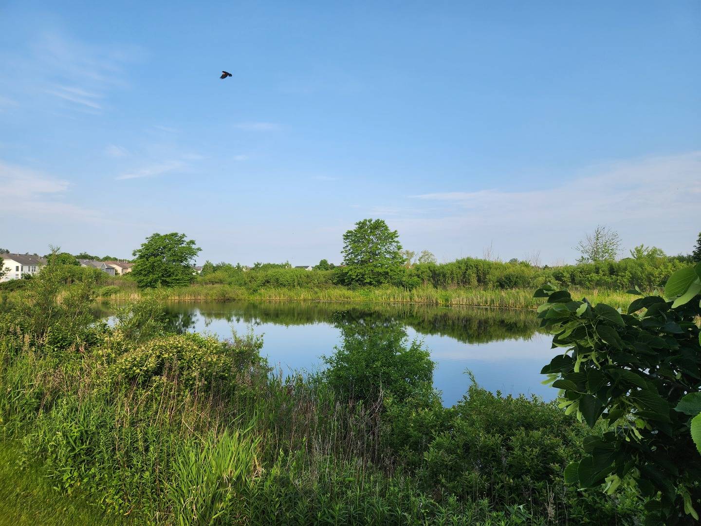 Beach Park, IL 60083,12778 W Wakefield DR #454-4