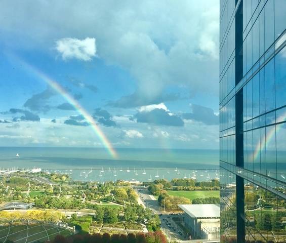 Chicago, IL 60603,60 E Monroe ST #3407