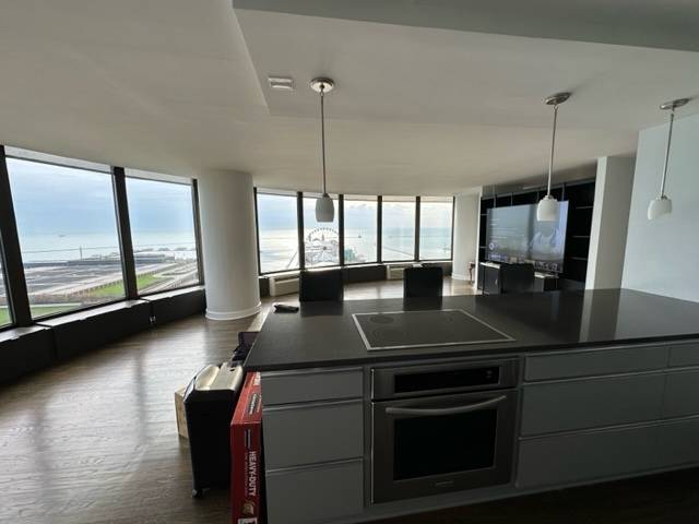 Chicago, IL 60611,505 N LAKE SHORE DR #2204-5