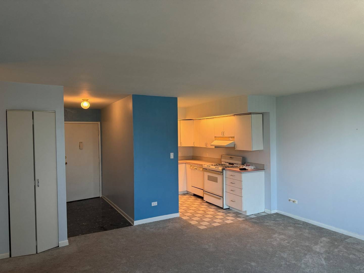 Oak Brook, IL 60523,20 N Tower RD #6J