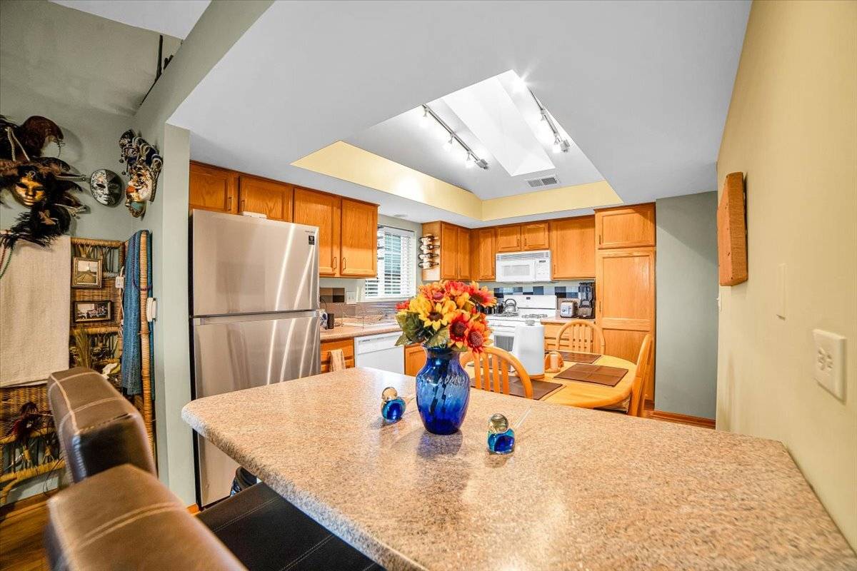 Tinley Park, IL 60477,6719 W White Tailed LN #3E