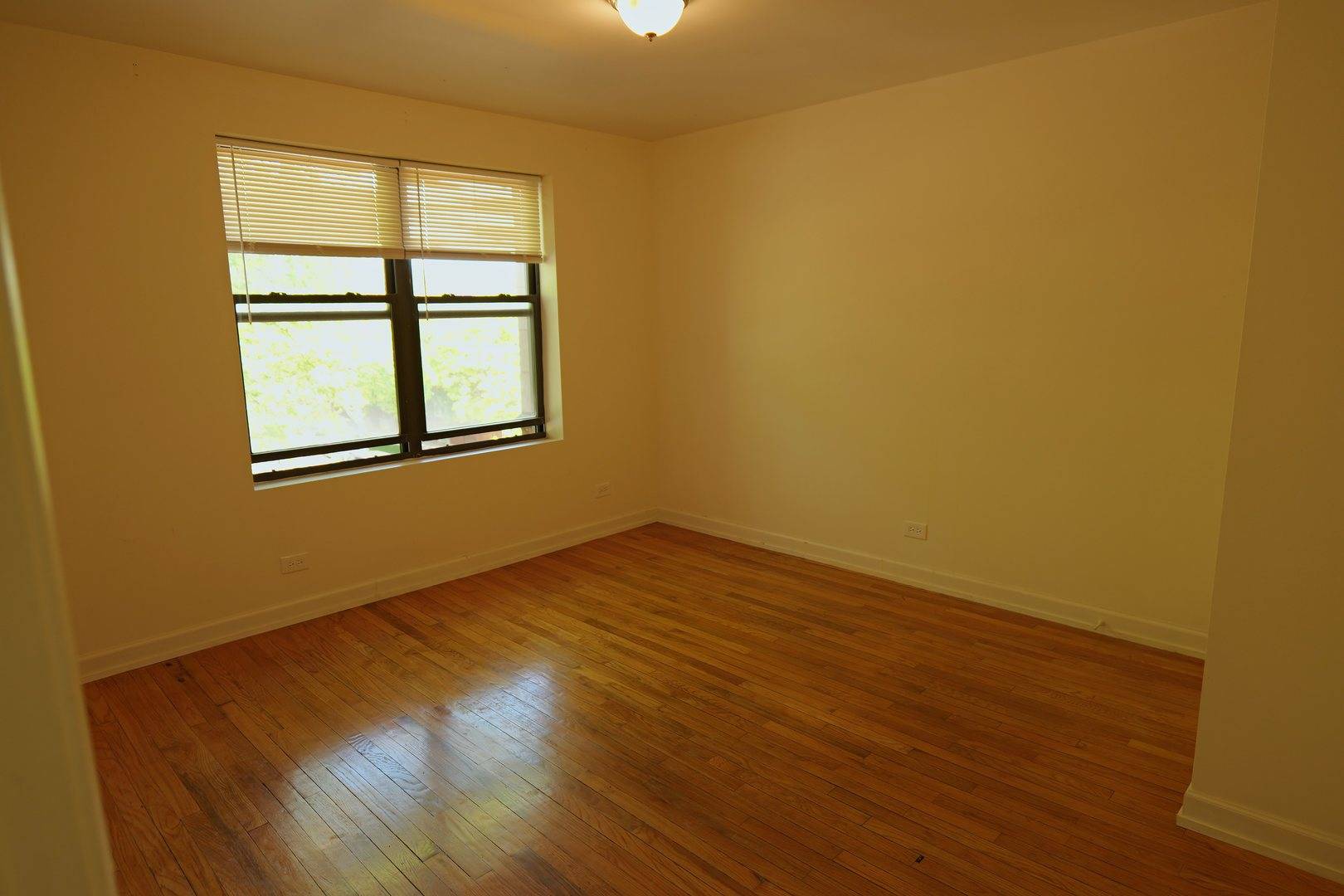 Chicago, IL 60620,8103 S Loomis BLVD #3
