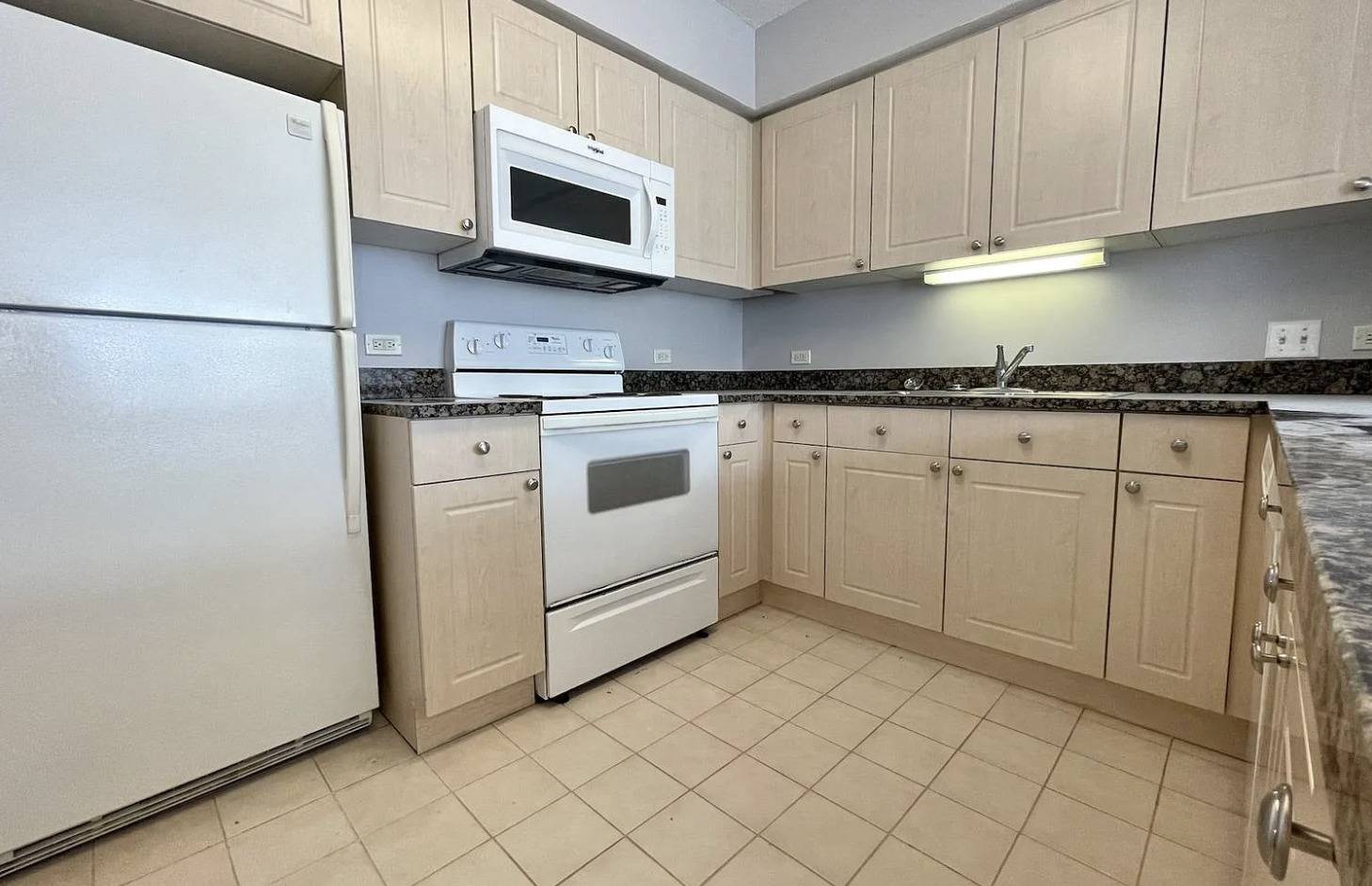 Chicago, IL 60611,512 N McClurg CT #2009