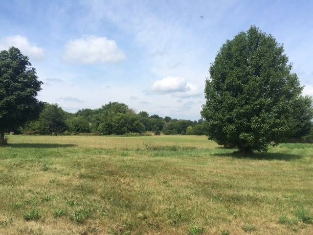 Spring Grove, IL 60081,2912 Briar DR