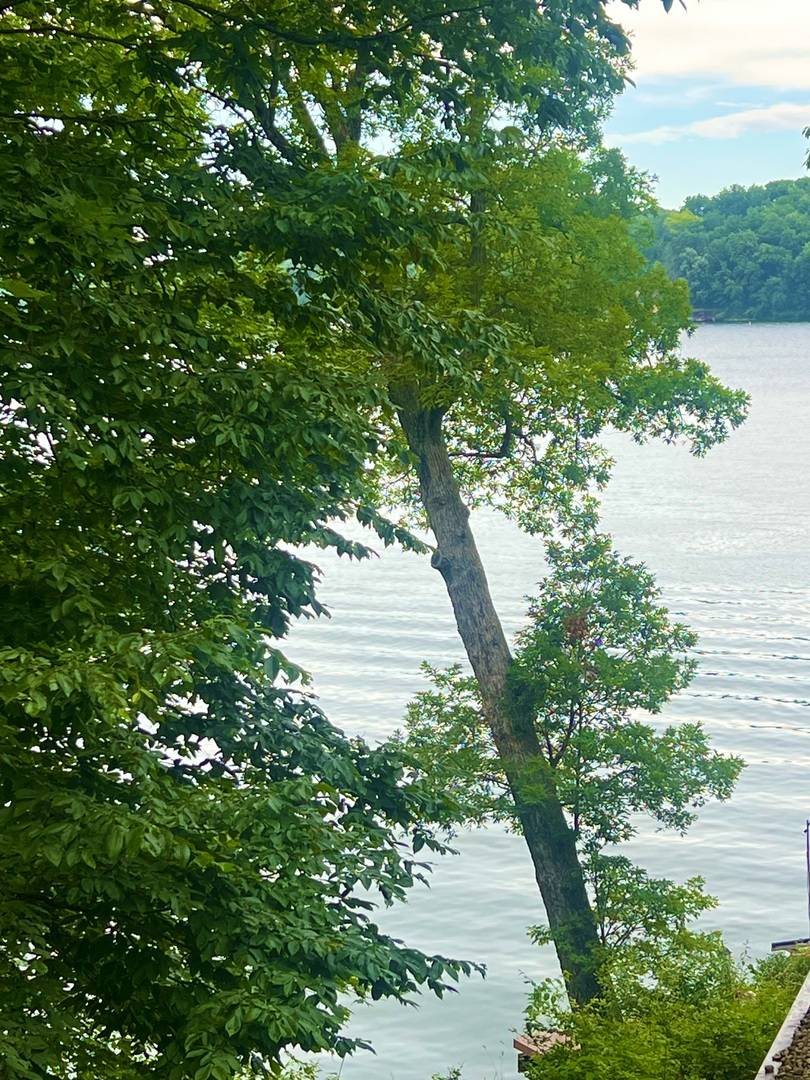 Varna, IL 61375,498 Driftwood CT
