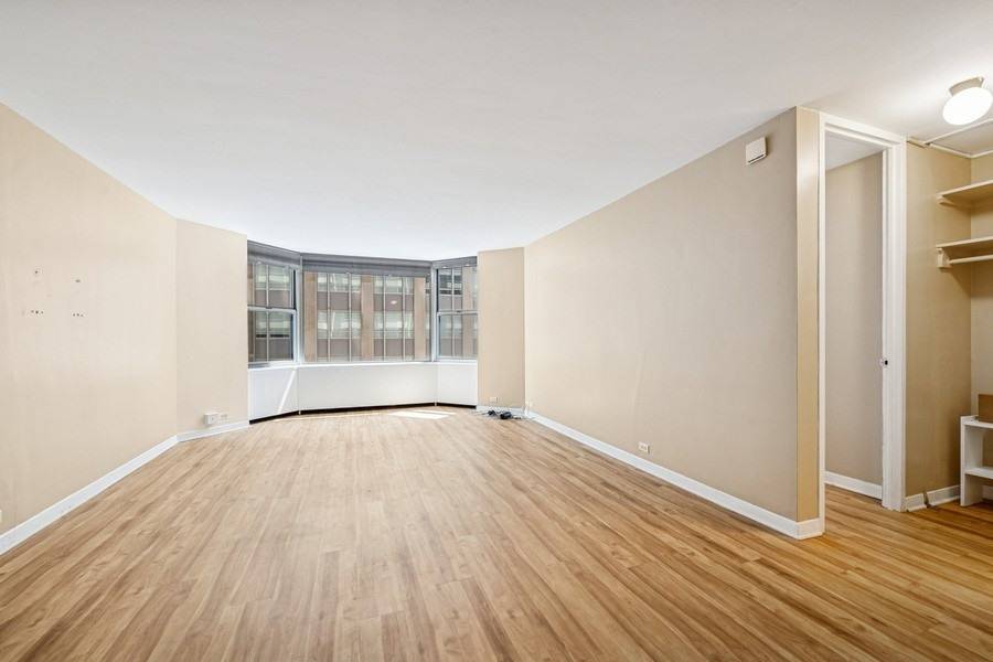 Chicago, IL 60611,535 N Michigan AVE #503