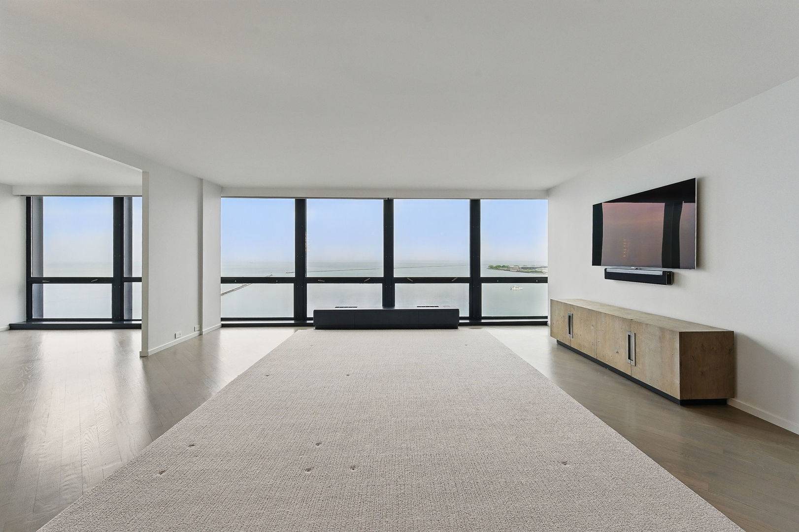Chicago, IL 60611,910 N Lake Shore DR #1419