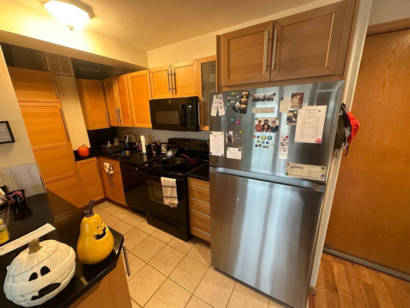 Chicago, IL 60613,4180 N Marine DR #1111