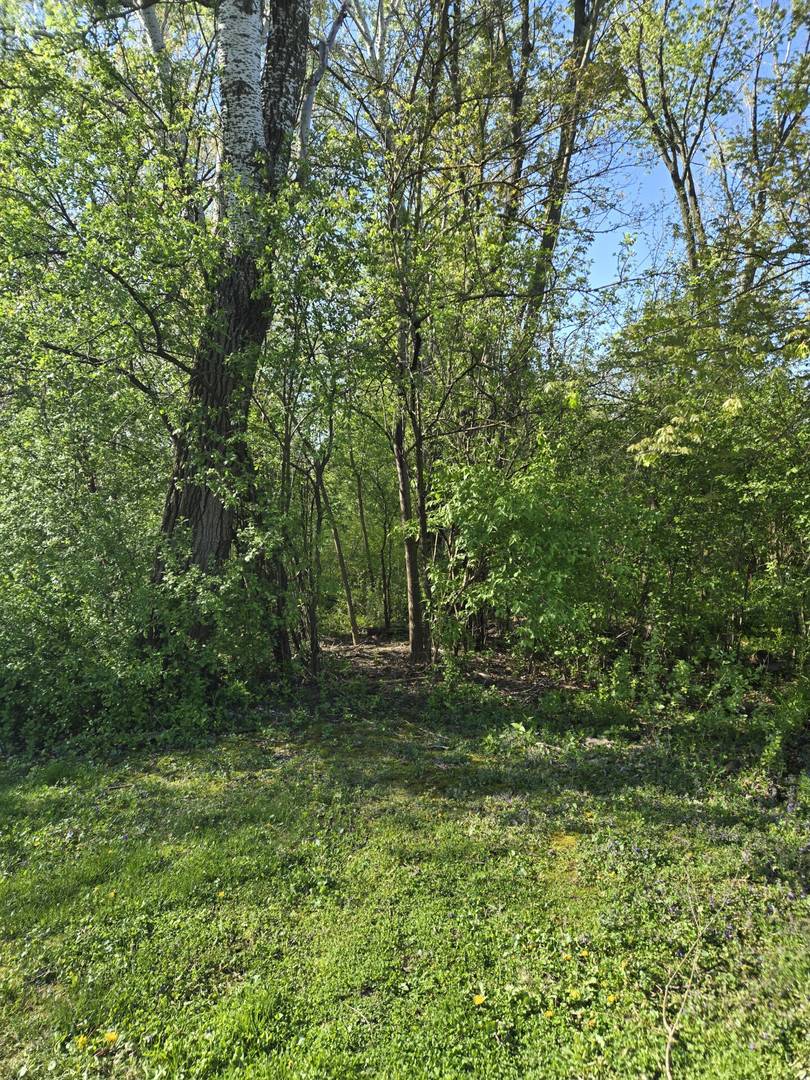 Orland Park, IL 60462,14555 Greenland AVE