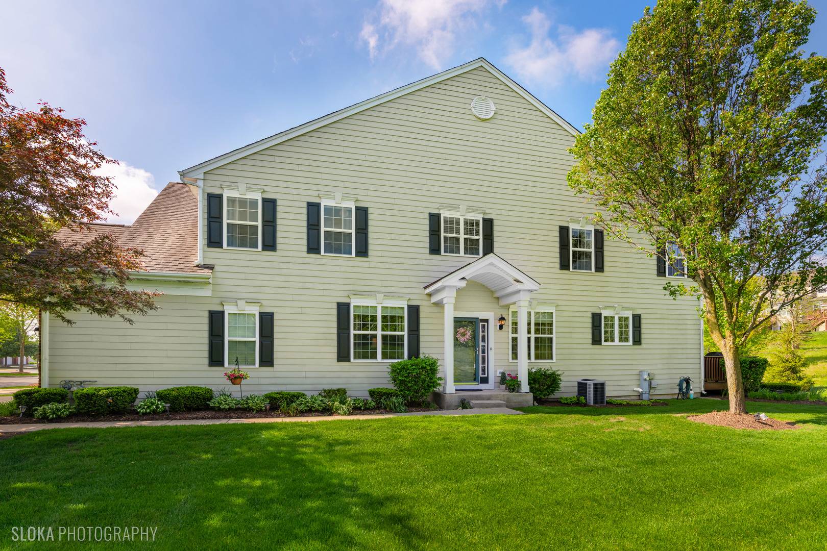 Elgin, IL 60124,1110 Pine Valley CT