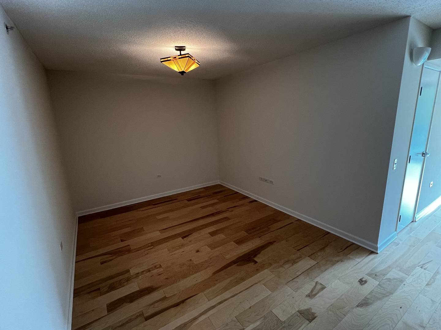 Skokie, IL 60077,9655 Woods DR #406