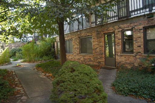 Chicago, IL 60614,1255 W Belden AVE #10B