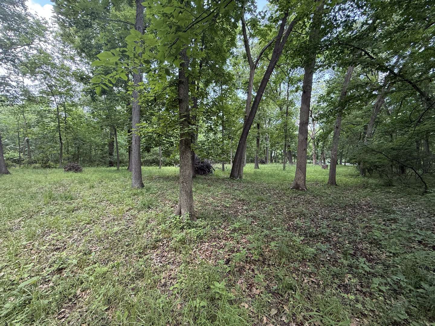 Tiskilwa, IL 61368,Lot 235 Lake Thunderbird DR