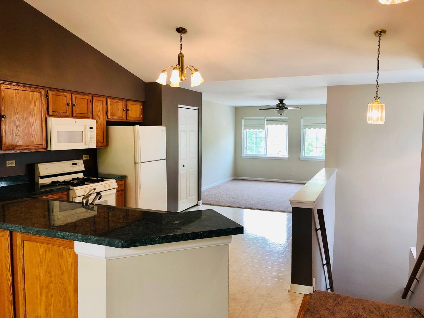 Darien, IL 60561,8225 Ripple Ridge DR #8225