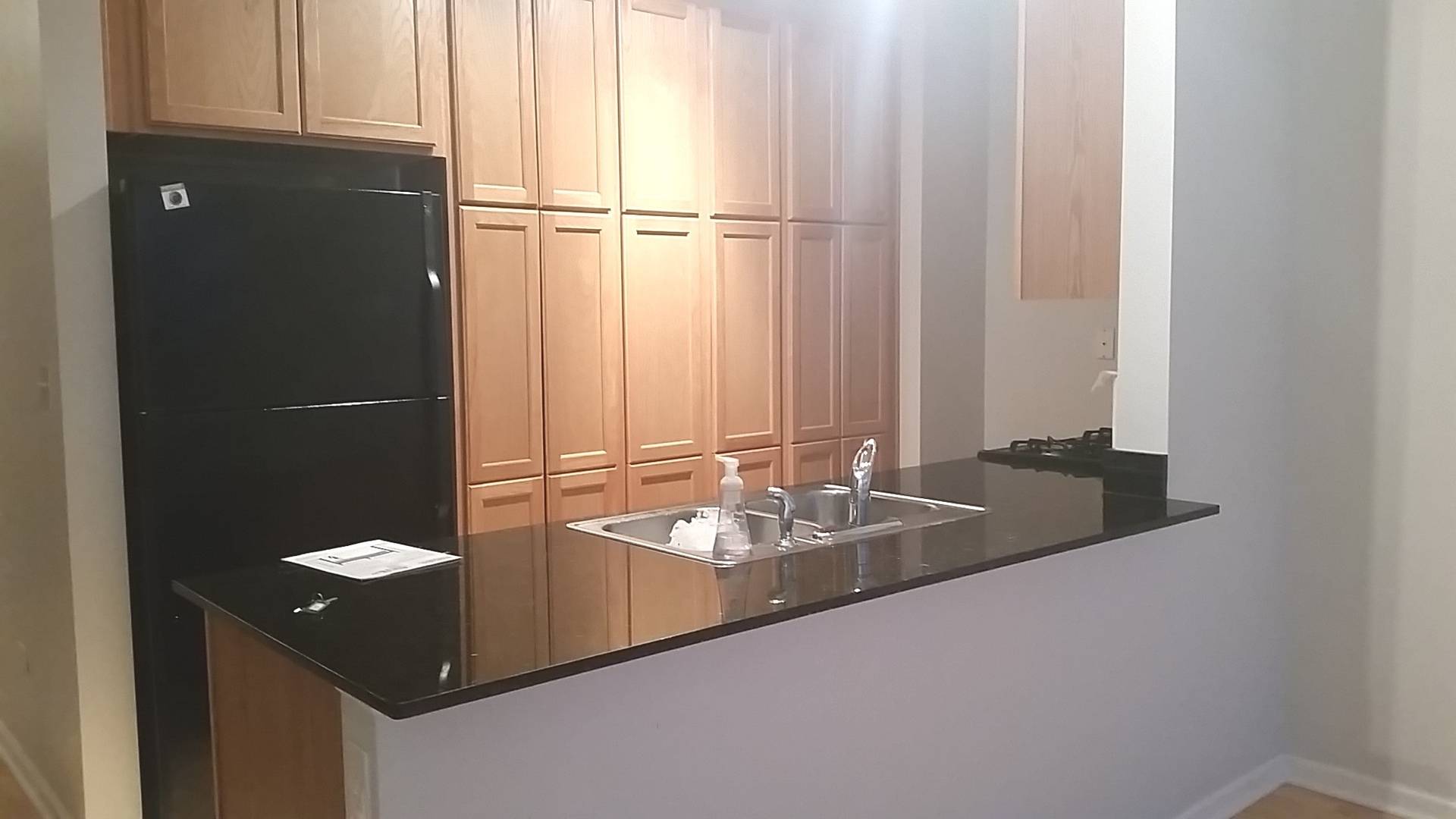 Chicago, IL 60605,1255 S STATE ST #1513